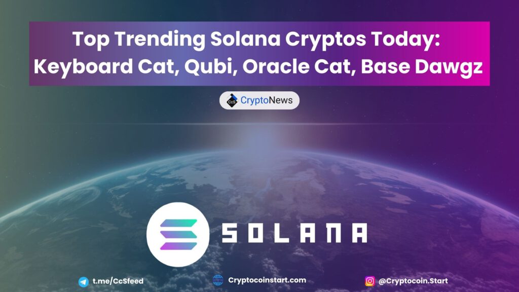 Top Trending Solana Cryptos Today: Keyboard Cat, Qubi, Oracle Cat, Base Dawgz