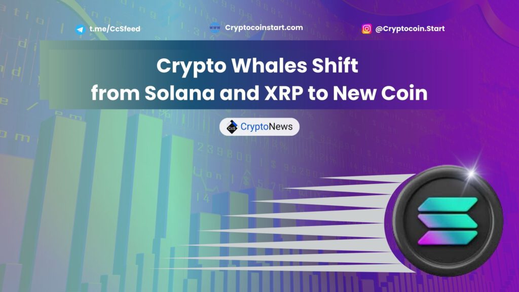 Crypto Whales Shift from Solana and XRP to New Coin