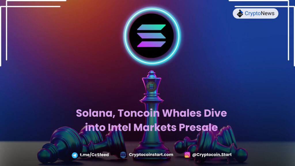 Solana, Toncoin Whales Dive into Intel Markets Presale