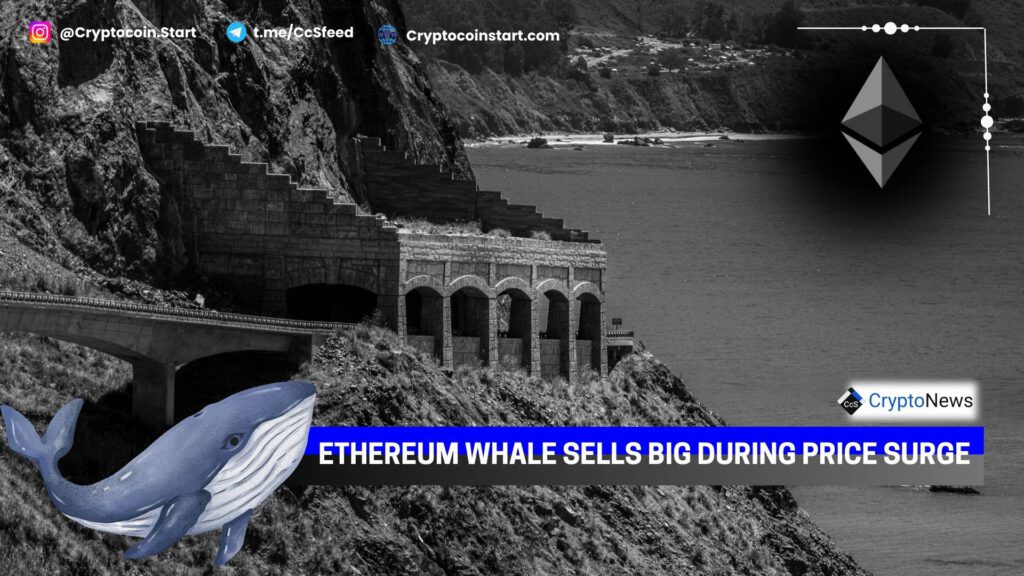 Ethereum Whale Sells Big During Price Surge