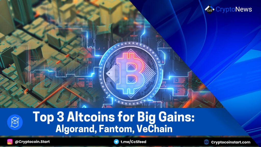 Top 3 Altcoins for Big Gains: Algorand, Fantom, VeChain