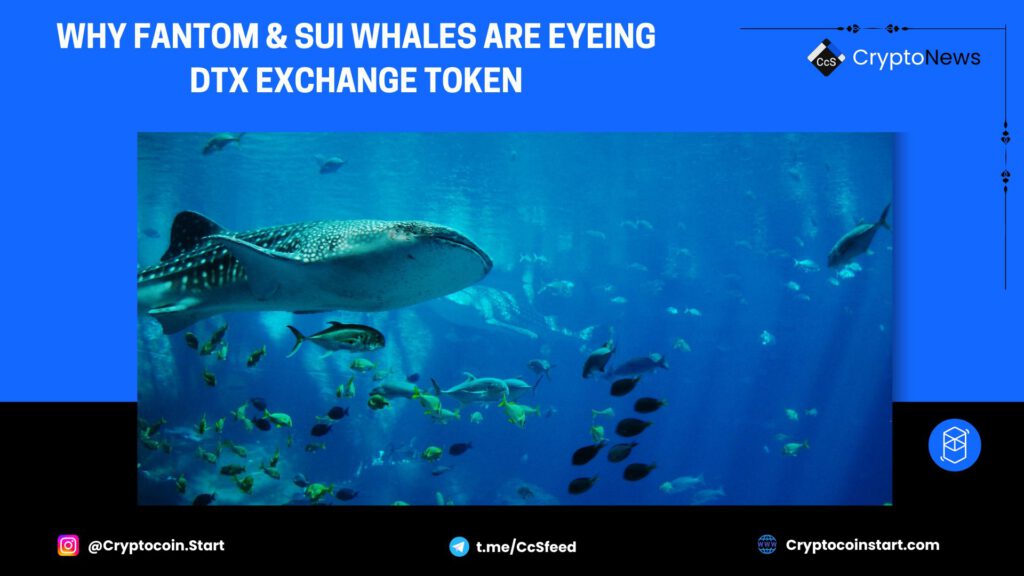 Why Fantom & Sui Whales are Eyeing DTX Exchange Token