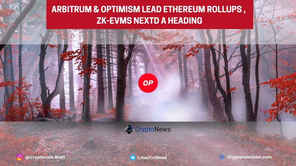 Arbitrum & Optimism Lead Ethereum Rollups; ZK-EVMs Next