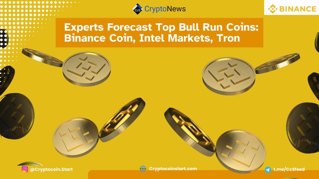 Experts Forecast Top Bull Run Coins: Binance Coin, Intel Markets, Tron