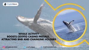Whale Activity Boosts Crypto Casino Presale, Attracting BNB and Chainlink Holders