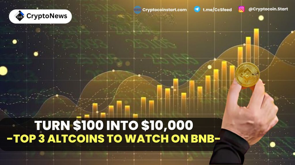 Turn $100 Into $10,000: Top 3 Altcoins to Watch on BNB