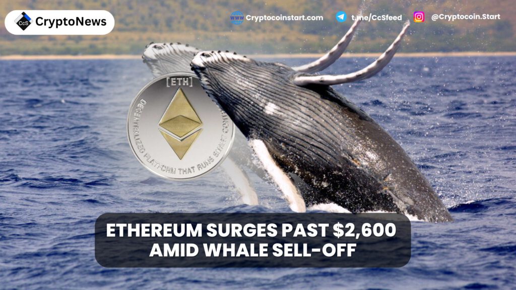 Ethereum Surges Past $2,600 Amid Whale Sell-Off