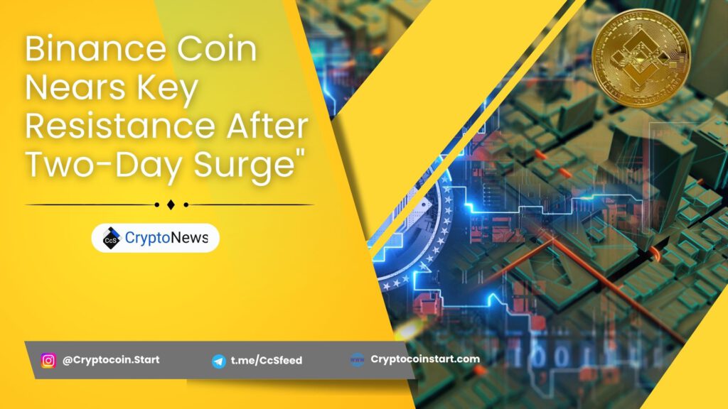 Binance Coin Nears Key Resistance After Two-Day Surge"