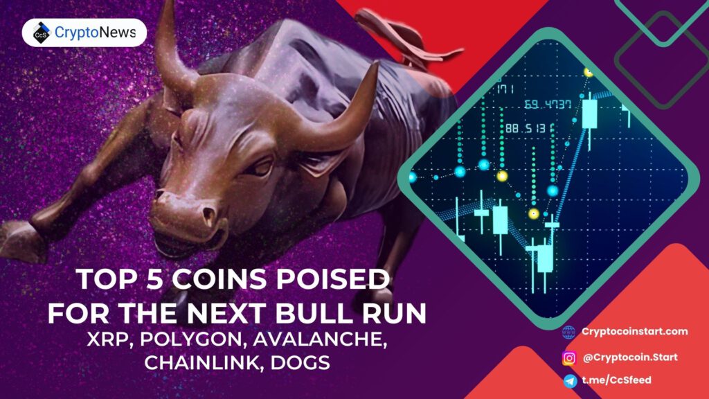 Top 5 Coins Poised for the Next Bull Run: XRP, Polygon, Avalanche, Chainlink, DOGS