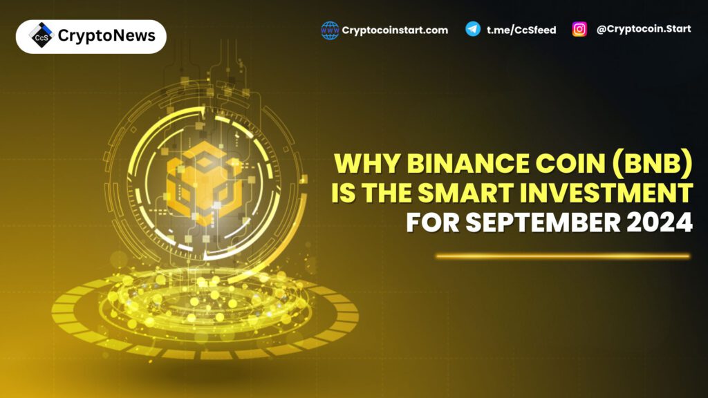 Why Binance Coin (BNB) Is the Smart Investment for September 2024