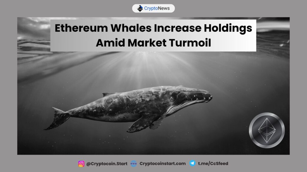 Ethereum Whales Increase Holdings Amid Market Turmoil