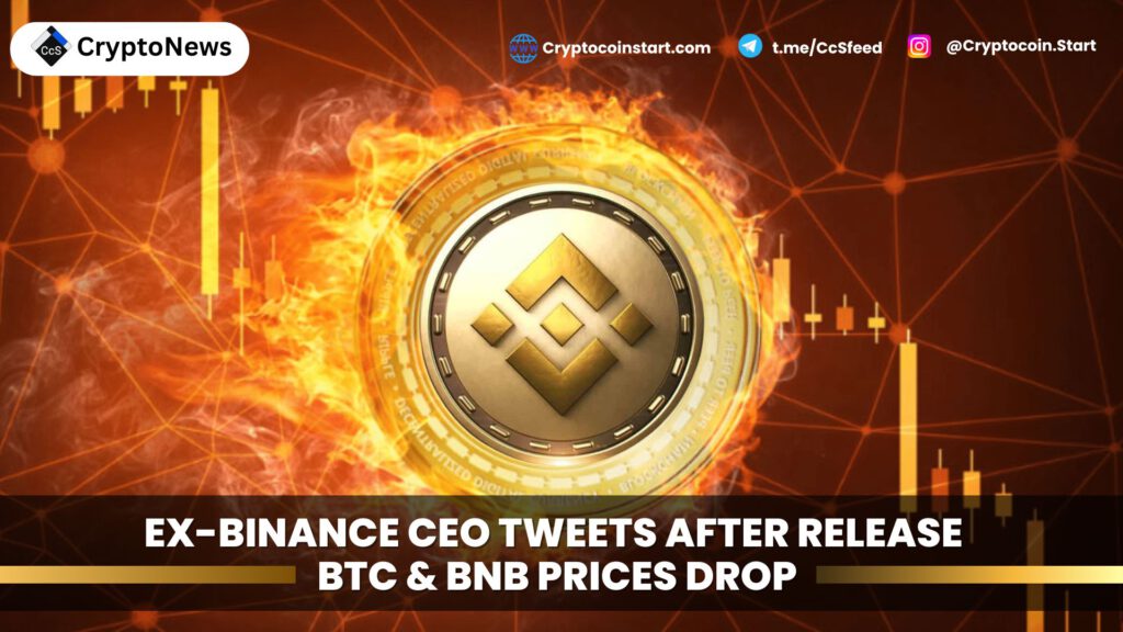 Ex-Binance CEO Tweets After Release – BTC & BNB Prices Drop