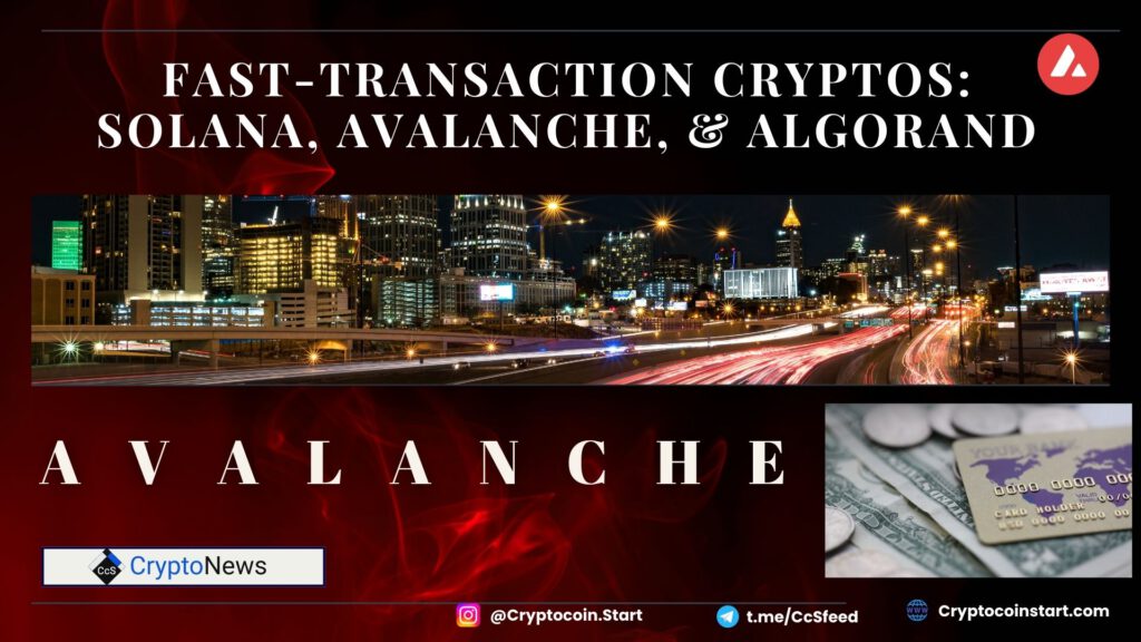 Fast-Transaction Cryptos: Solana, Avalanche, & Algorand