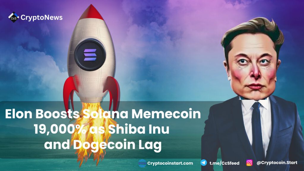 Elon Boosts Solana Memecoin 19,000% as Shiba Inu and Dogecoin Lag