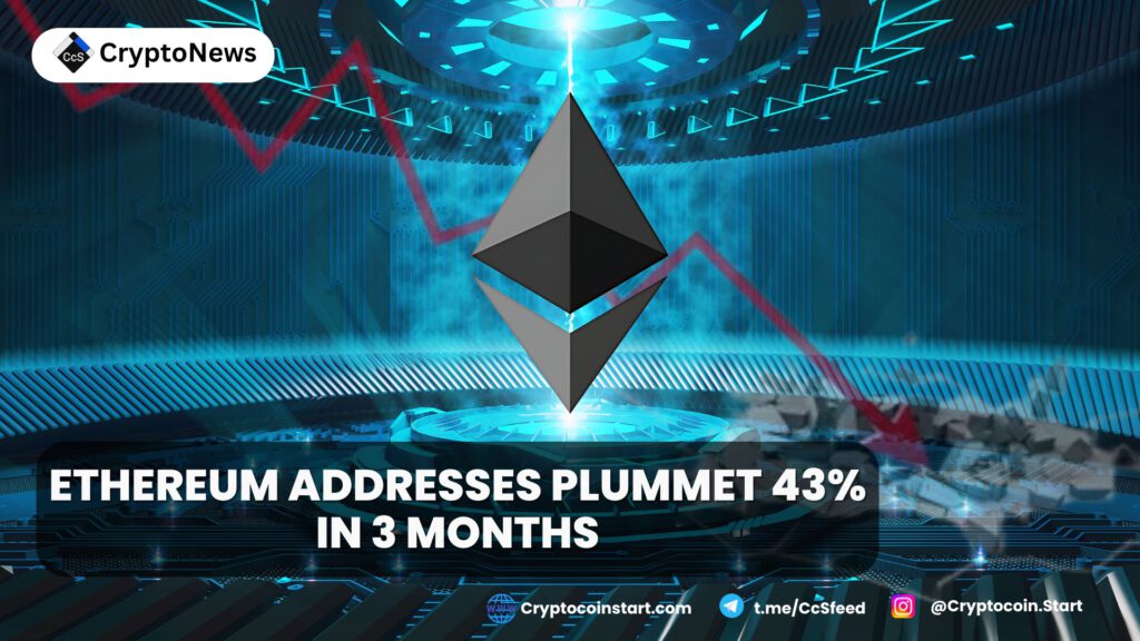 Ethereum Addresses Plummet 43% in 3 Months