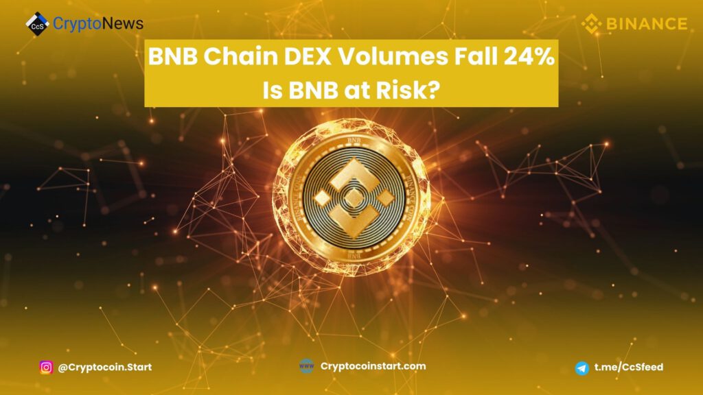 BNB Chain DEX Volumes Fall 24% — Is BNB at Risk?