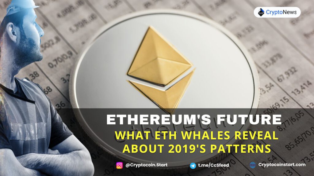 Ethereum's Future: What ETH Whales Reveal About 2019's Patterns 2 Cryptocoinstart.com 21