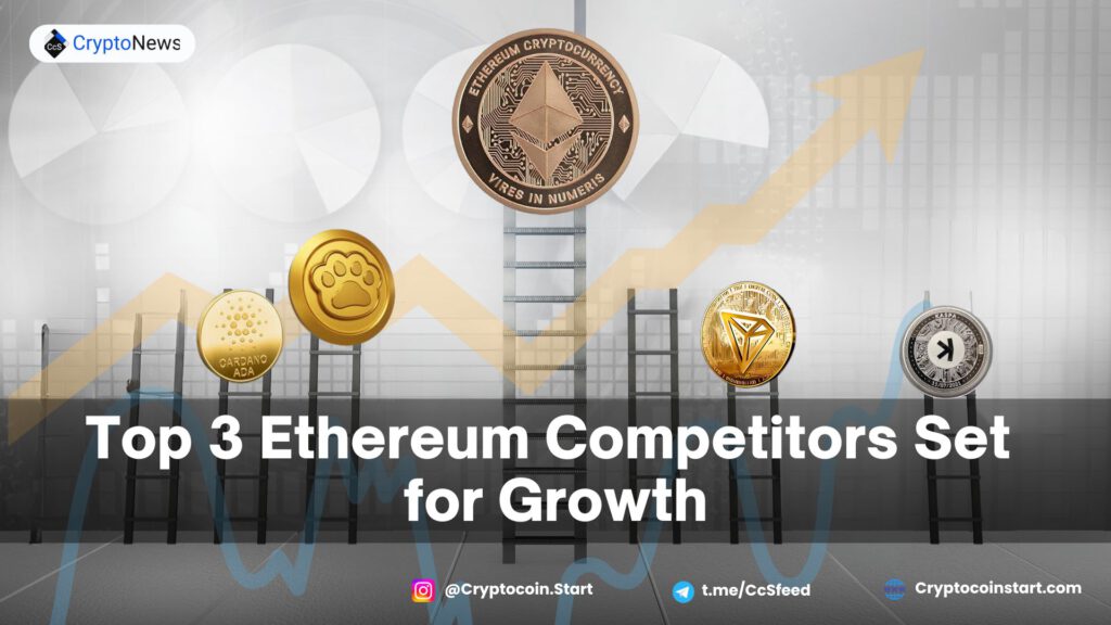 Top 3 Ethereum Competitors Set for Growth