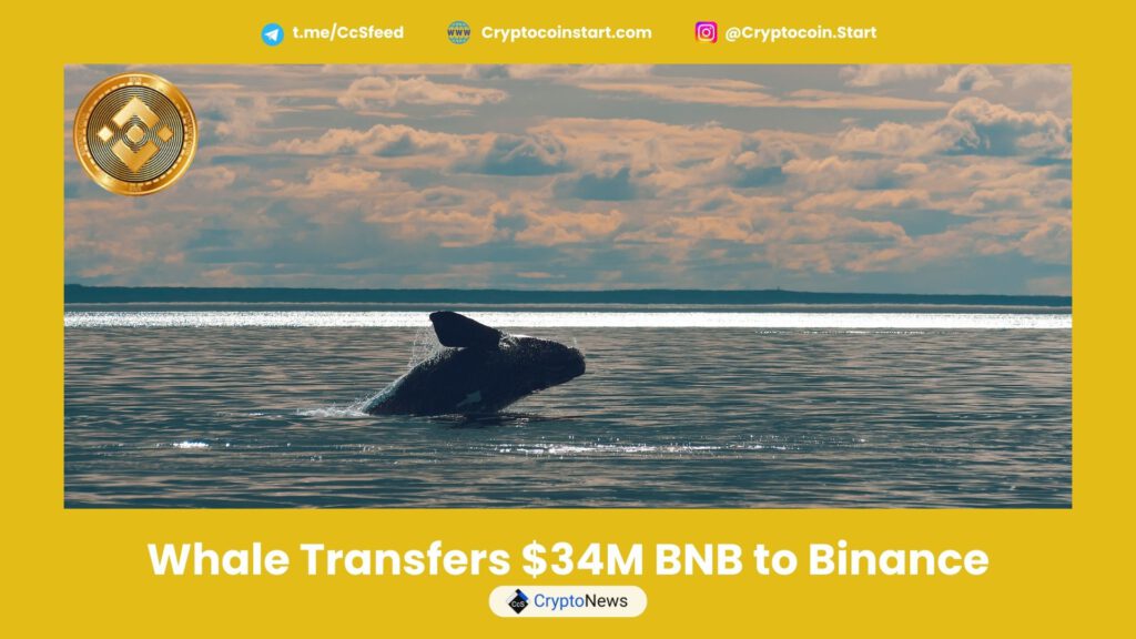 Whale Transfers $34M BNB to Binance