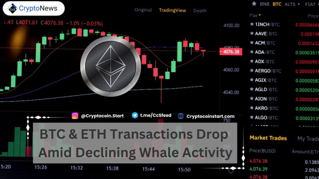 BTC & ETH Transactions Drop Amid Declining Whale Activity