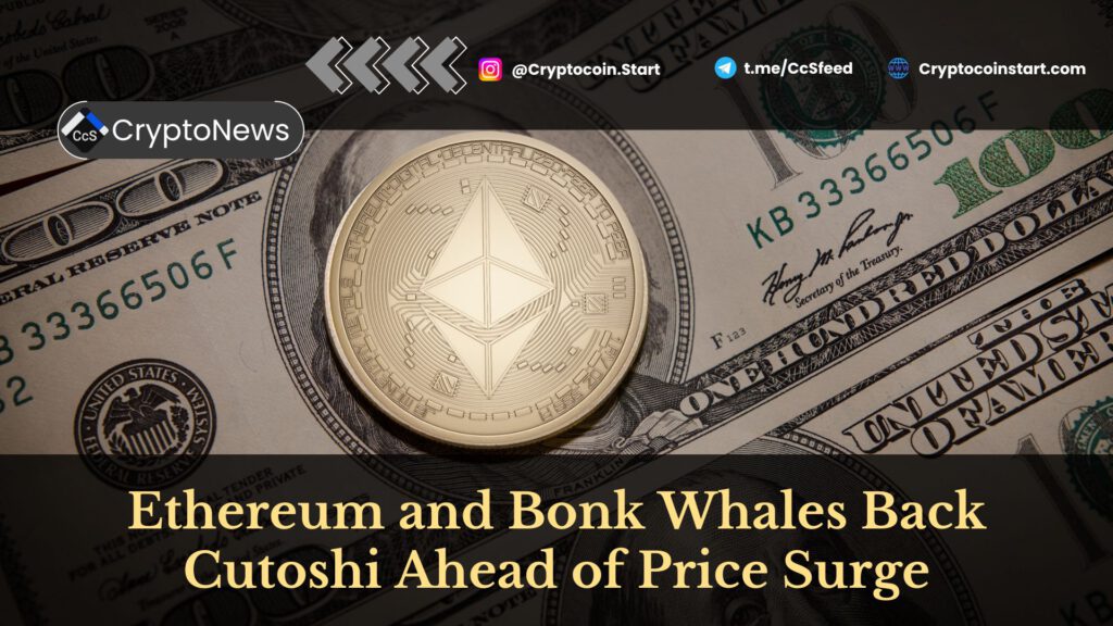 Ethereum and Bonk Whales Back Cutoshi Ahead of Price Surge