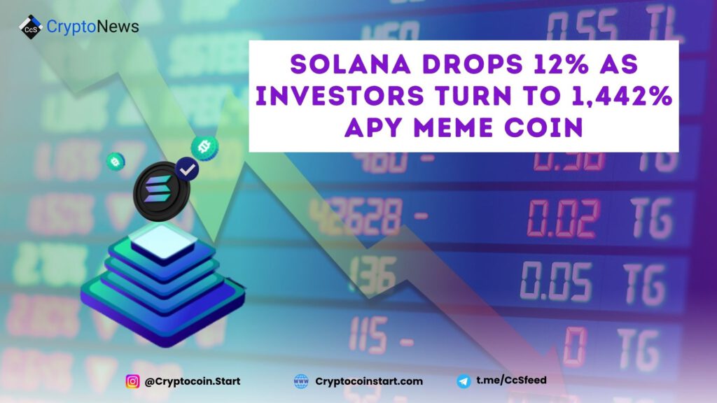 Solana Drops 12% as Investors Turn to 1,442% APY Meme Coin