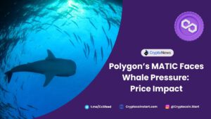 Polygon’s MATIC Faces Whale Pressure: Price Impact