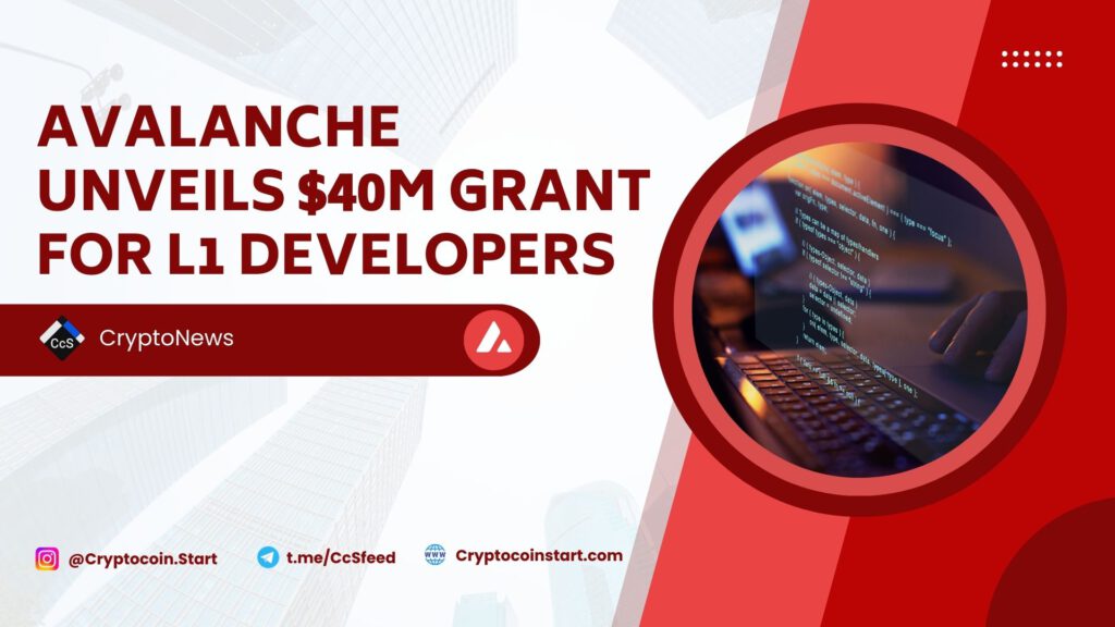 Avalanche Unveils $40M Grant for L1 Developers