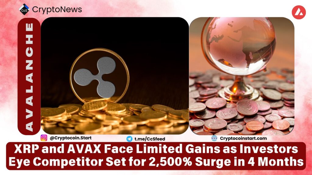 XRP and AVAX Face Limited Gains as Investors Eye Competitor Set for 2,500% Surge in 4 Months