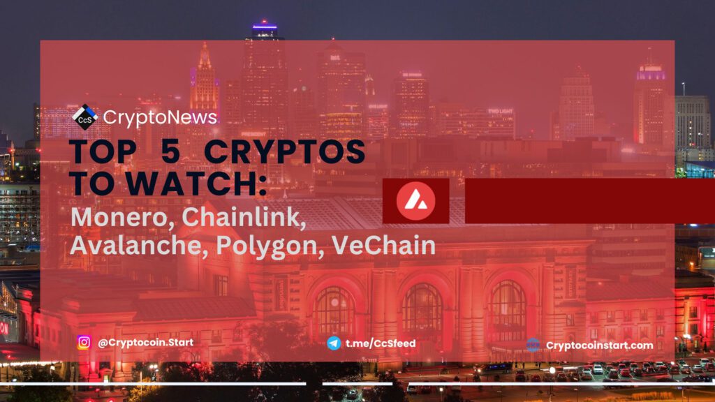 Top 5 Cryptos to Watch: Monero, Chainlink, Avalanche, Polygon, VeChain