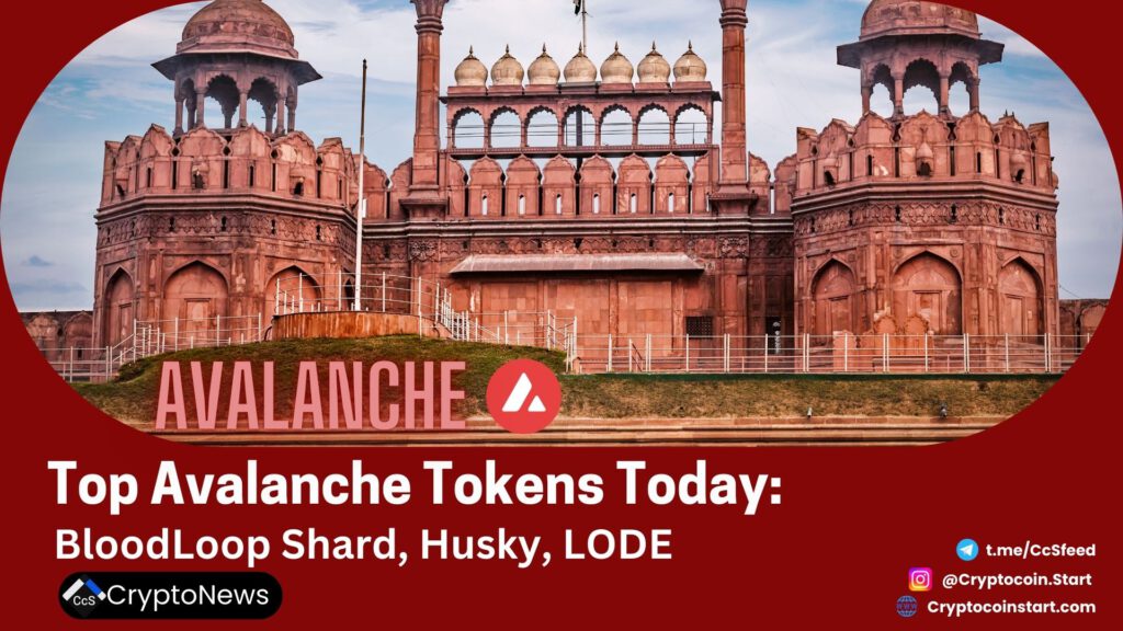 Top Avalanche Tokens Today: BloodLoop Shard, Husky, LODE