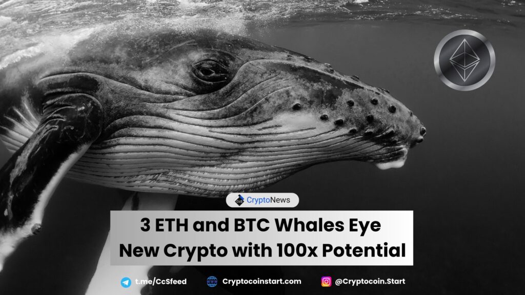 3 ETH and BTC Whales Eye New Crypto with 100x Potential