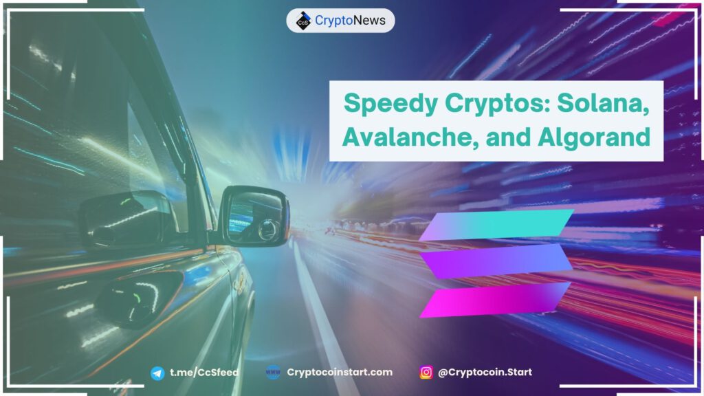 Speedy Cryptos: Solana, Avalanche, and Algorand