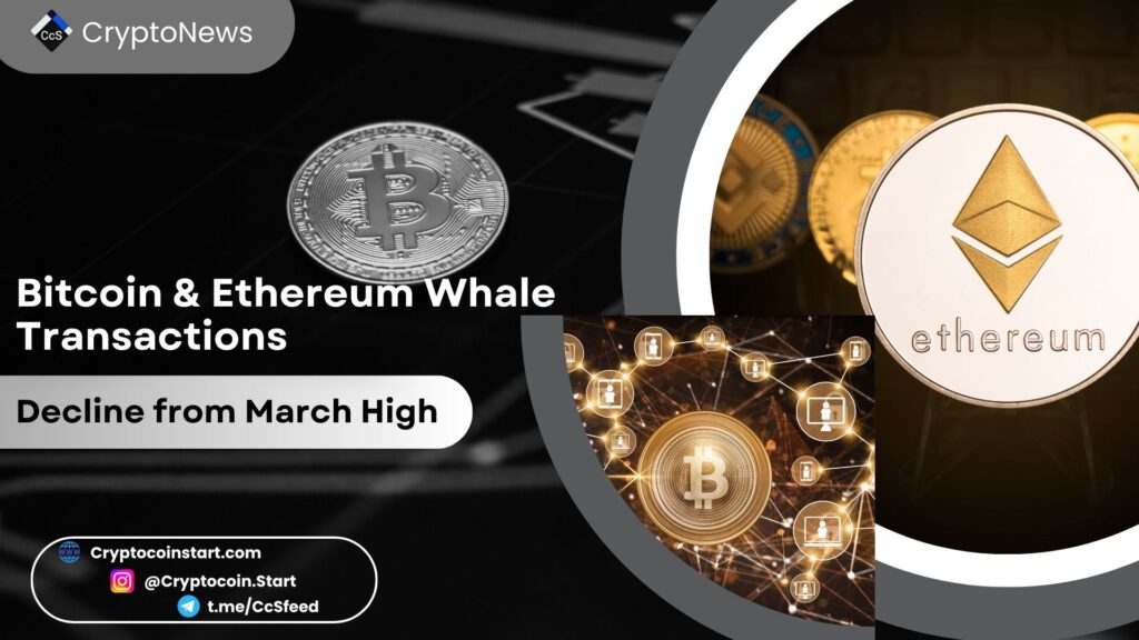 Bitcoin & Ethereum Whale Transactions Decline from March High