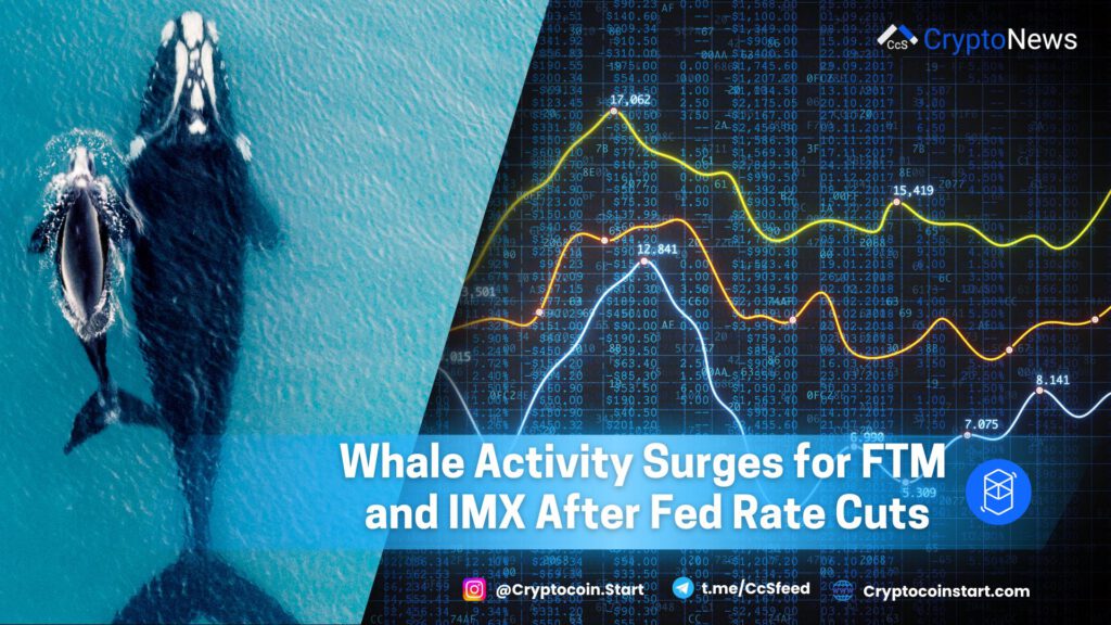 Whale Activity Surges for FTM and IMX After Fed Rate Cuts