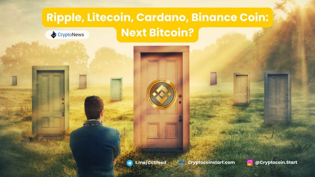 Ripple, Litecoin, Cardano, Binance Coin: Next Bitcoin?