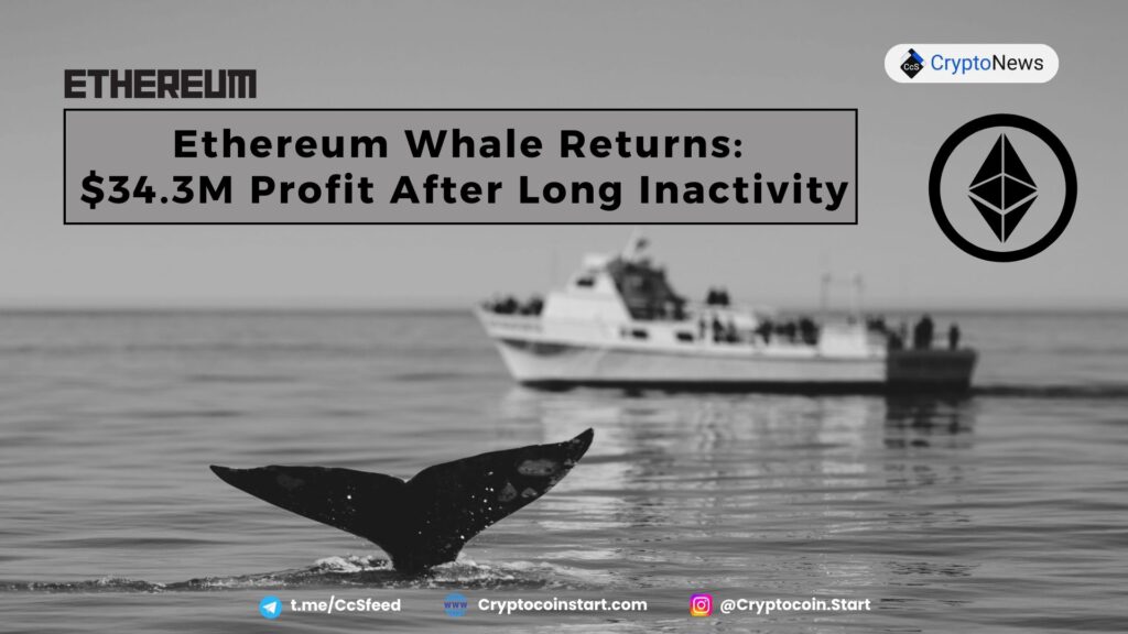 Ethereum Whale Returns: $34.3M Profit After Long Inactivity