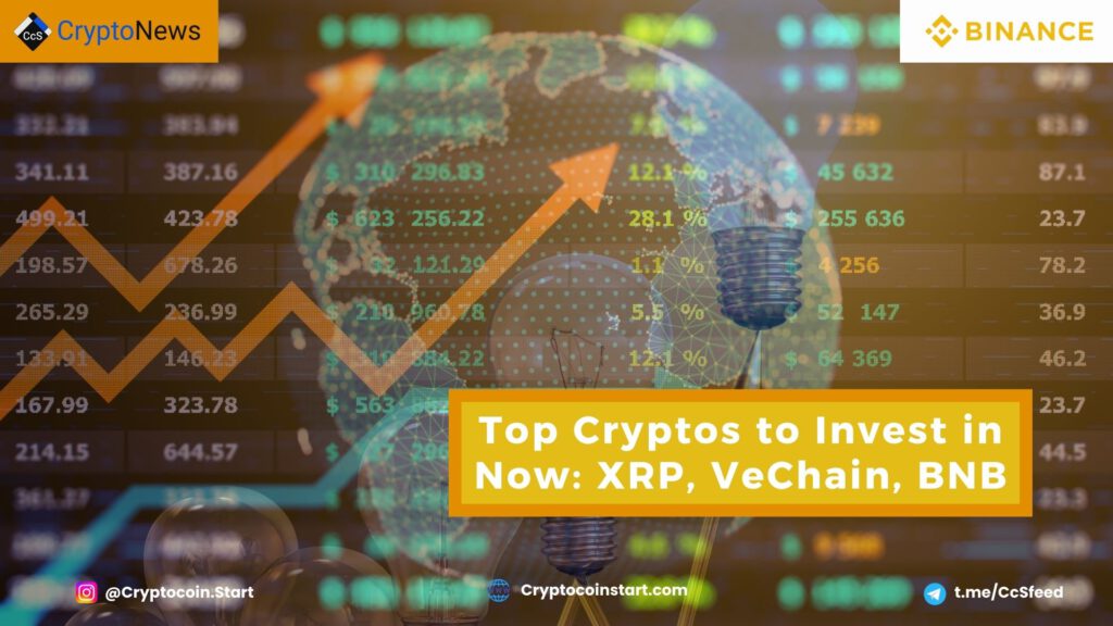 Top Cryptos to Invest in Now: XRP, VeChain, BNB