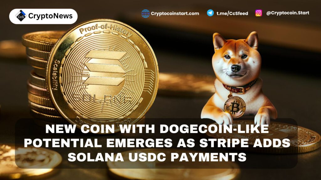 New Coin with Dogecoin-Like Potential Emerges as Stripe Adds Solana USDC Payments