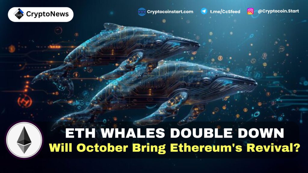 ETH Whales Double Down: Will October Bring Ethereum's Revival?