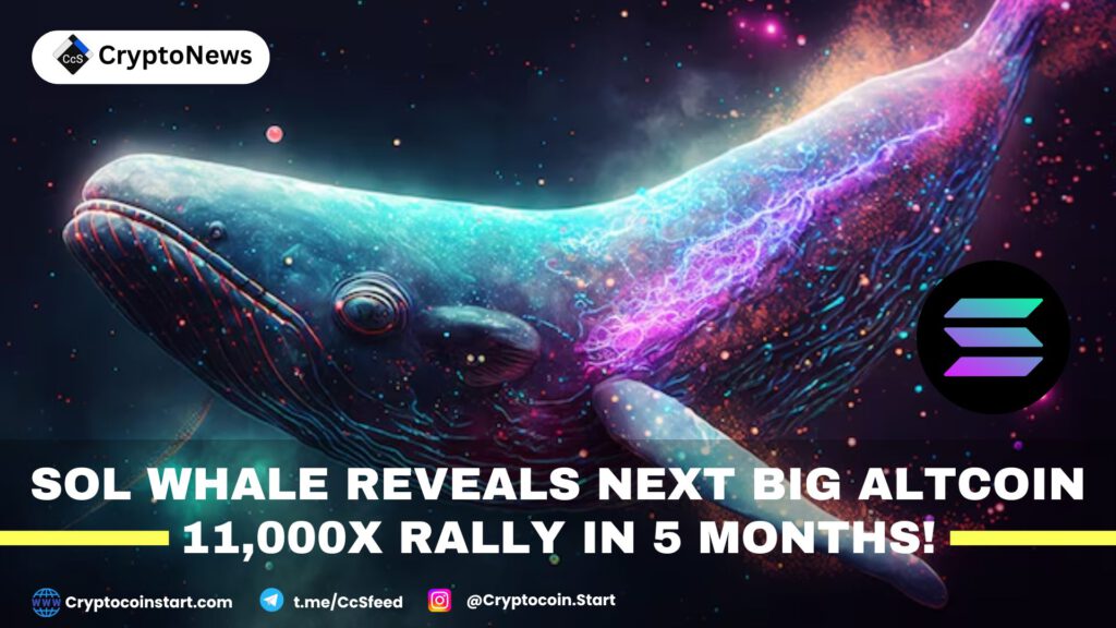 SOL Whale Reveals Next Big Altcoin: 11,000x Rally in 5 Months!