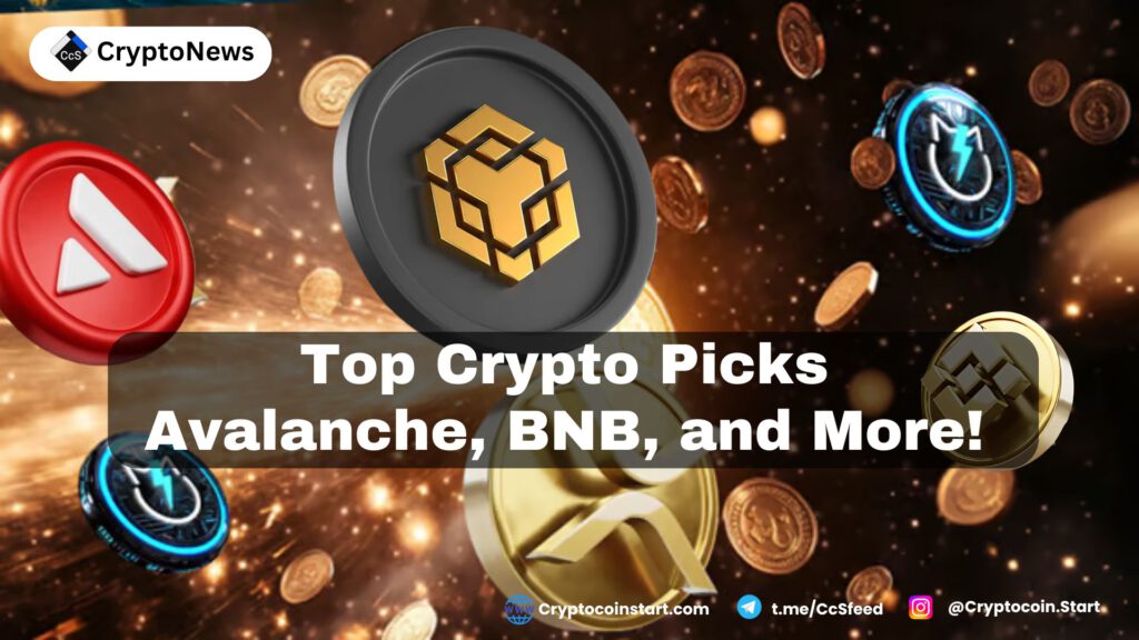 Top Crypto Picks: Avalanche, BNB, and More!