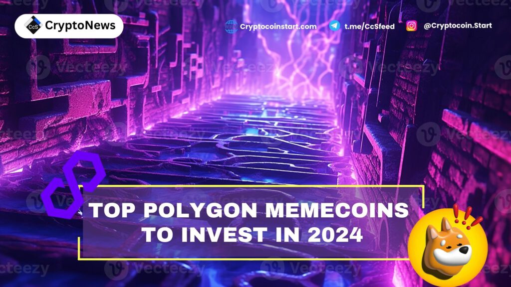 Top Polygon MemeCoins to Invest in 2024