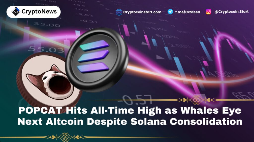 POPCAT Hits All-Time High as Whales Eye Next Altcoin Despite Solana Consolidation