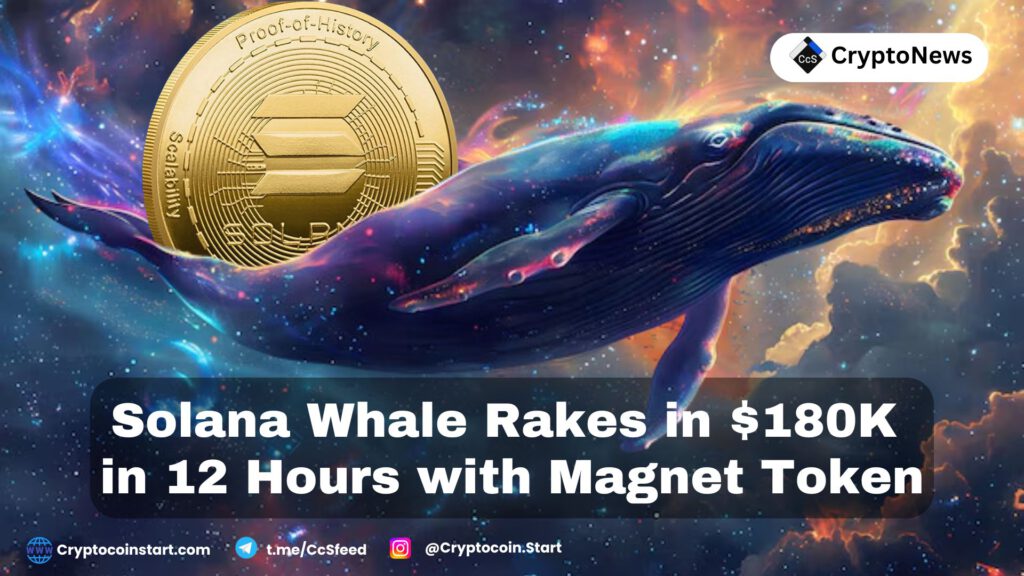 Solana Whale Rakes in $180K in 12 Hours with Magnet Token