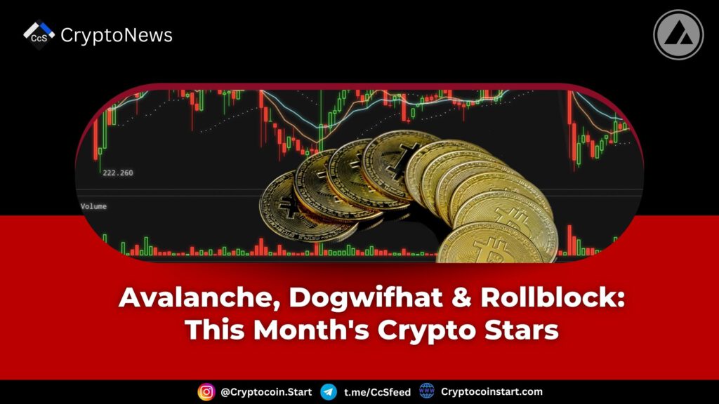 Avalanche, Dogwifhat & Rollblock: This Month's Crypto Stars