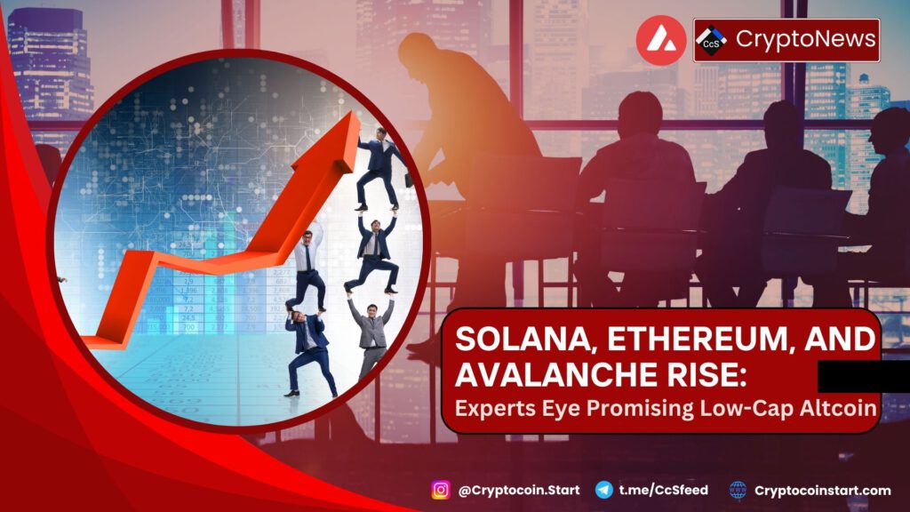 Solana, Ethereum, and Avalanche Rise: Experts Eye Promising Low-Cap Altcoin