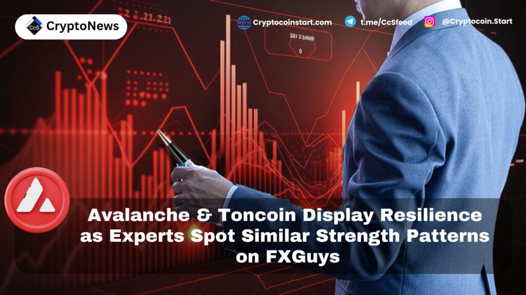 Avalanche & Toncoin Display Resilience as Experts Spot Similar Strength Patterns on FXGuys