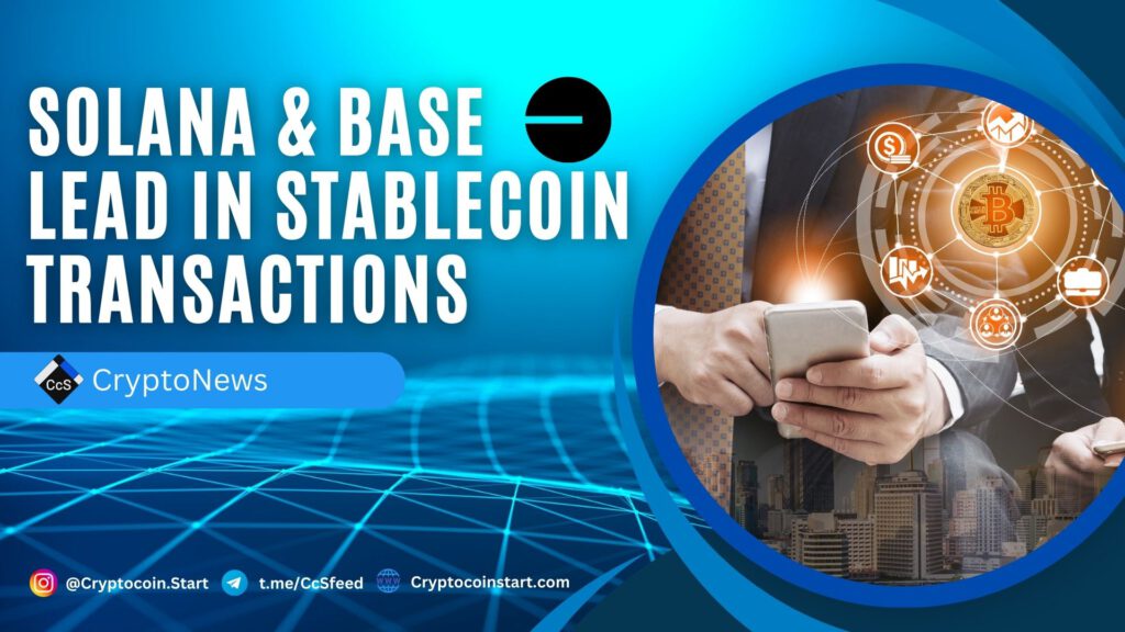 Solana & Base Lead in Stablecoin Transactions