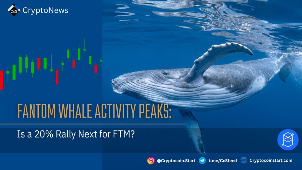 Fantom Whale Activity Peaks: Is a 20% Rally Next for FTM?